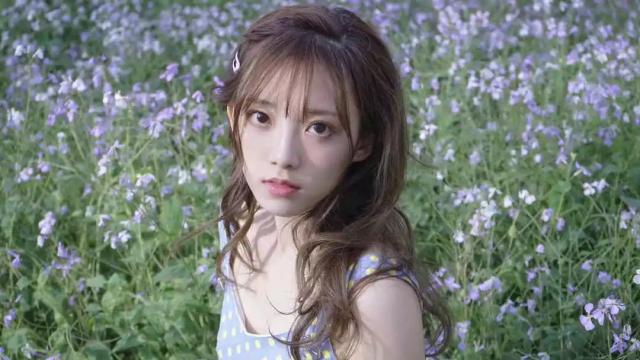 范薇の夏日回忆簿 资讯聚合 第17张 范薇の夏日回忆簿 资讯聚合 第17张